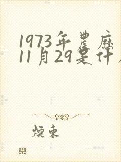 1973年农历11月29是什么命