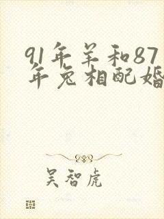 91年羊和87年兔相配婚姻如何