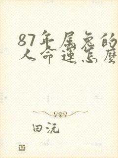 87年属兔的女人命运怎么样