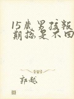 15岁男孩叛逆期总是不回家怎么办封面