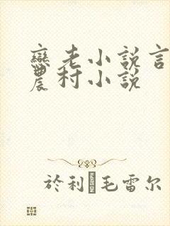 恋老小说言情网农村小说