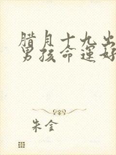 腊月十九出生的男孩命运好吗封面