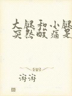 大腿和小腿肌肉突然酸痛是怎么回事啊