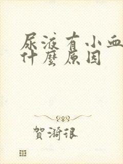 尿液有小血块是什么原因