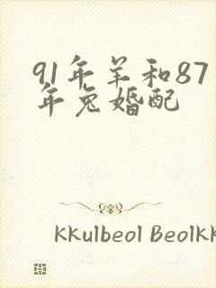 91年羊和87年兔婚配封面
