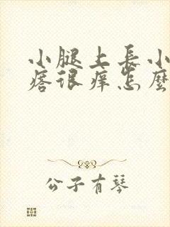 小腿上长小红疙瘩很痒怎么回事封面