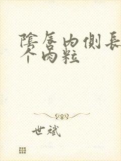 阴唇内侧长了两个肉粒