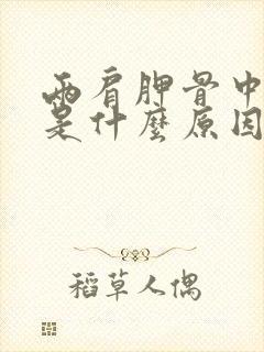 两肩胛骨中间疼是什么原因