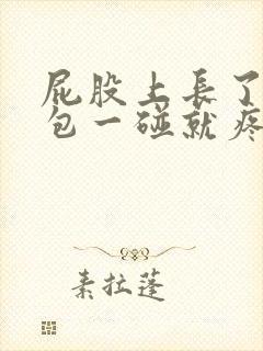 屁股上长了一个包一碰就疼怎么办