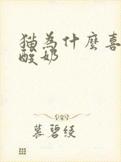 猫为什么喜欢喝酸奶