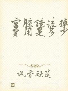 宫腔镜流掉手术费用是多少