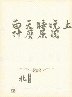 白天睡晚上不睡什么原因