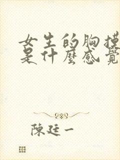 女生的胸摸起来是什么感觉