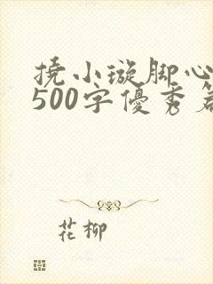 挠小璇脚心作文500字优秀篇