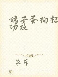 鸽子蛋枸杞子的功效封面