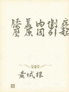 膝盖内侧疼痛什么原因引起的