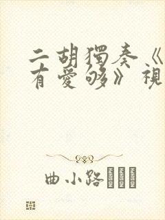 二胡独奏《还没有爱够》视频