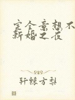 完全意想不到的新婚之夜