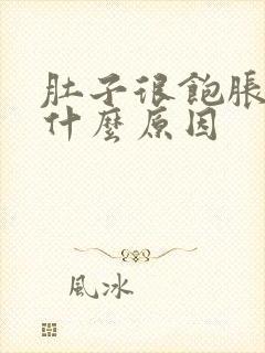 肚子很饱胀气是什么原因封面