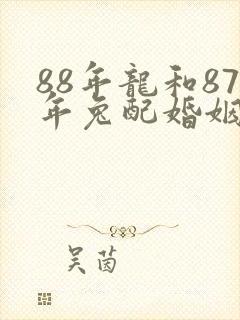 88年龙和87年兔配婚姻好不好封面