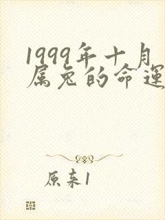 1999年十月属兔的命运怎么样
