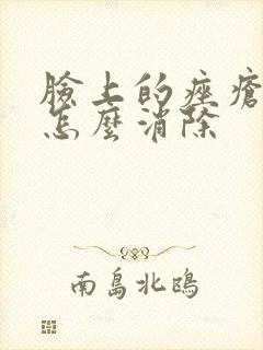 脸上的痤疮痘印怎么消除