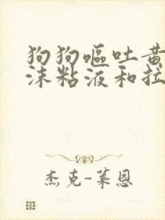 狗狗呕吐黄水泡沫粘液和拉稀封面