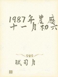 1987年农历十一月初六命运