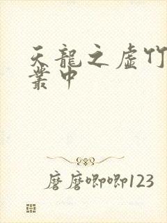 天龙之虚竹戏花丛中封面