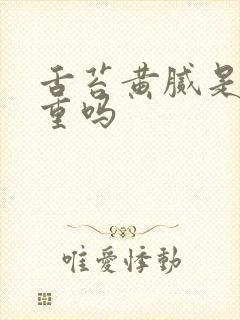 舌苔黄腻是湿气重吗