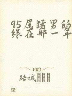 95属猪男的正缘在哪一年