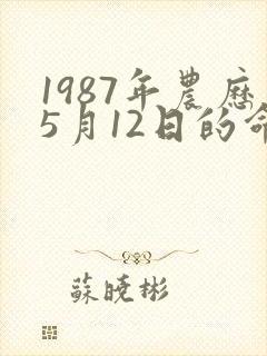 1987年农历5月12日的命运如何