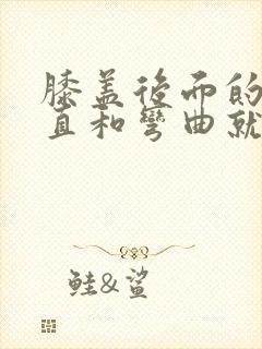 膝盖后面的筋伸直和弯曲就痛封面