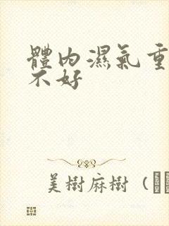 体内湿气重脾胃不好