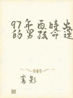 97年酉时出生的男孩命运