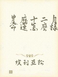 农历十二月的马命运怎么样