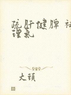 疏肝健脾 祛湿理气