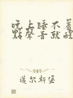 晚上睡不着觉一点声音就醒