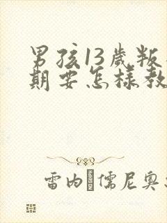 男孩13岁叛逆期要怎样教育或开导呢
