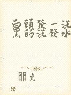 白头发一洗就变黑的洗发水