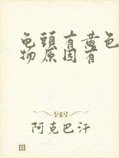 龟头有黄色分泌物原因有