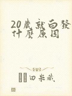 20岁就白发是什么原因封面