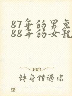 87年的男兔跟88年的女龙结婚好吗