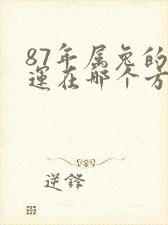 87年属兔的财运在哪个方位