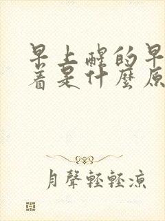 早上醒的早睡不着是什么原因封面