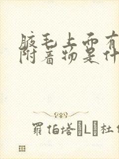 腋毛上面有白色附着物是什么原因