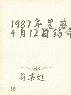 1987年农历4月12日的命运