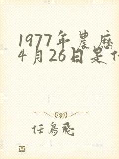 1977年农历4月26日是什么命
