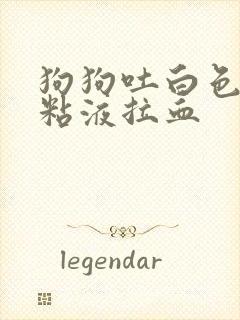 狗狗吐白色泡沫粘液拉血