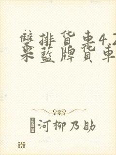 双排货车4.2米蓝牌货车报价